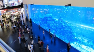 The front of the two story aquarium in Dubai Mall. It contains the largest, single piece of acrylic glass in the world.